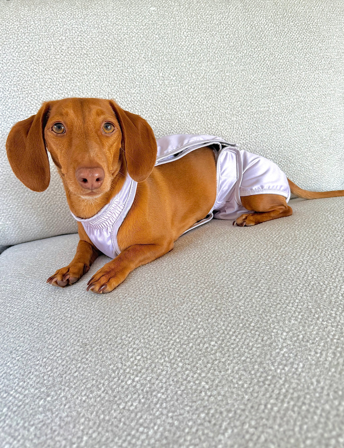 The Dry Hound Nappy - Clay
