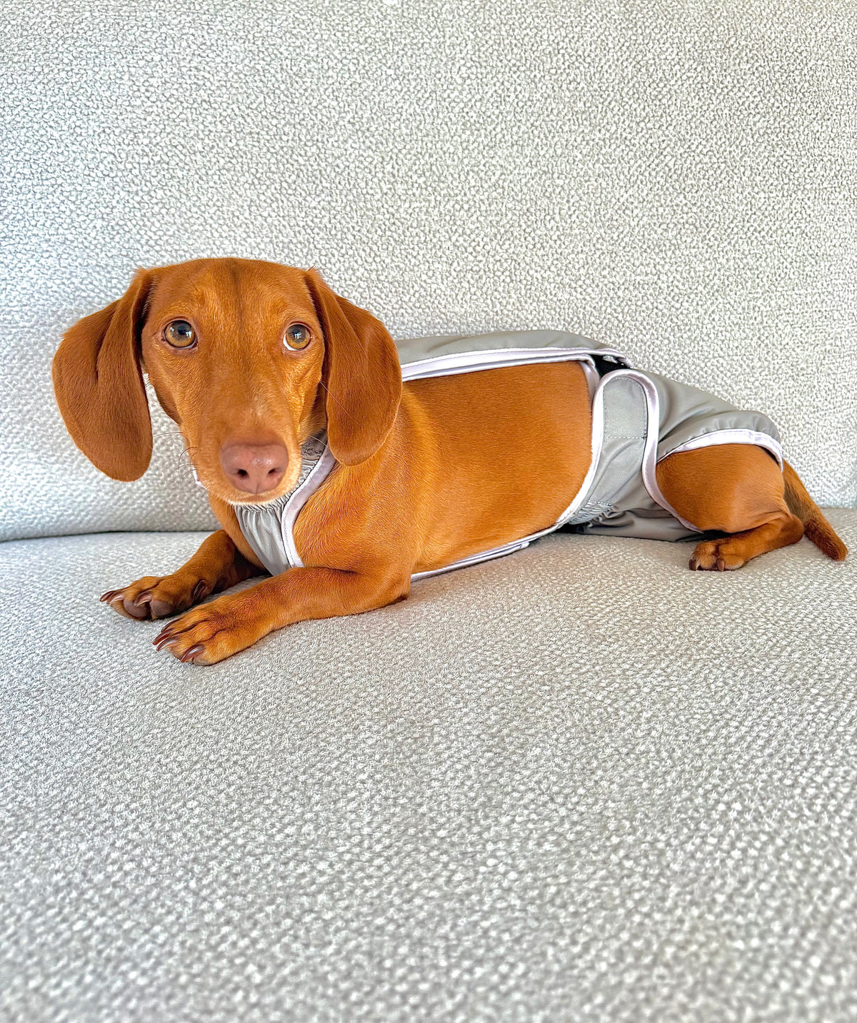 The Dry Hound Nappy - Sage
